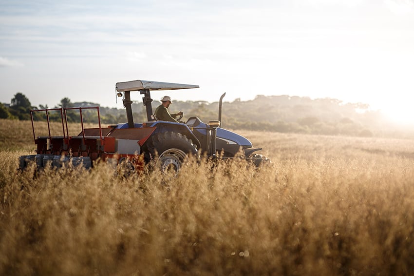 Trator e condutor em campo de trigo
